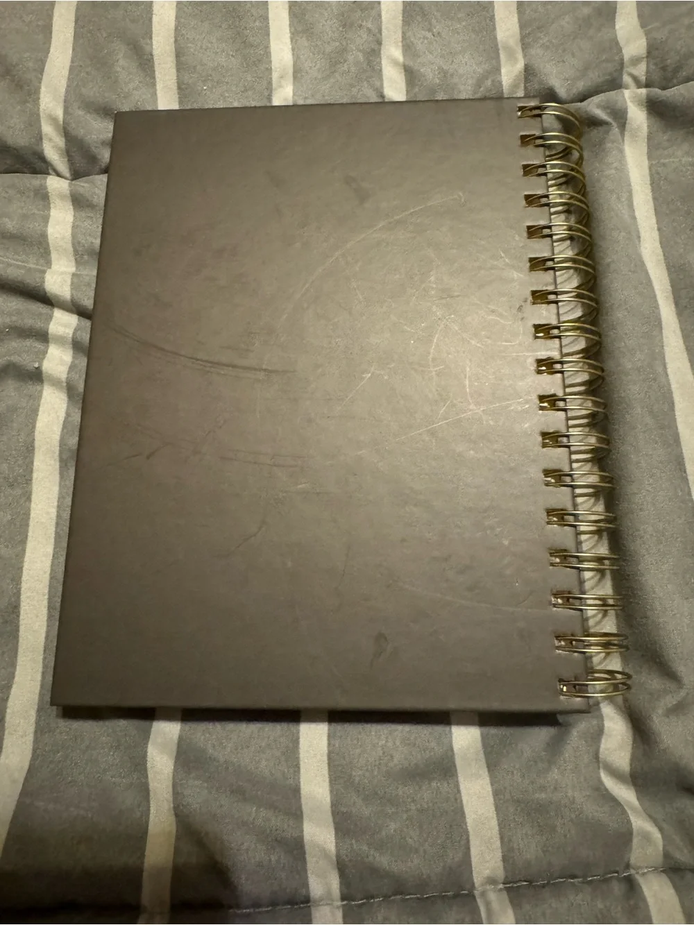 NEW Punch Studio Gold and Pink Floral Monthly & Weekly Planner